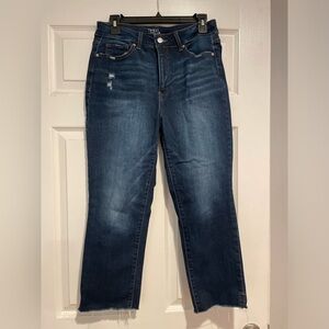 Time and Tru High Rise Jeans Ankle Length Size 8‎